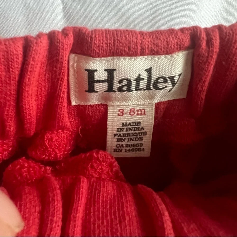 Harley Surfing Dog Shirt and Red Shorts Outfit Set Size 3-6 Months